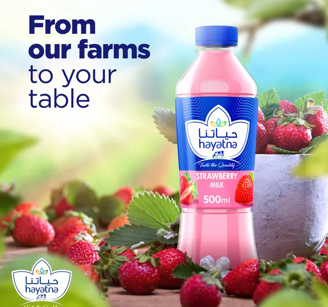 Hayatna Strawberry Flavoured Milk 500 Ml