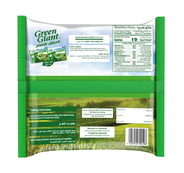 Green Giant Frozen Broccoli Florets 450 G