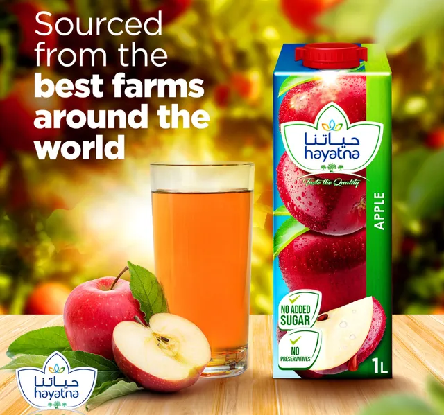 Hayatna No Added Sugar Apple Juice 1 Litre