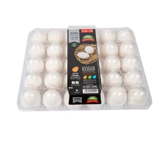 Ova White Eggs Large 30 Pcs