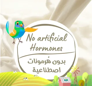 أرلا حليب عضوي كامل الدسم 1 لتر