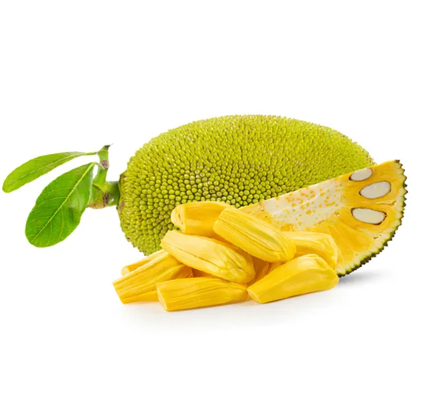 Honey Jackfruit 1 Pkt