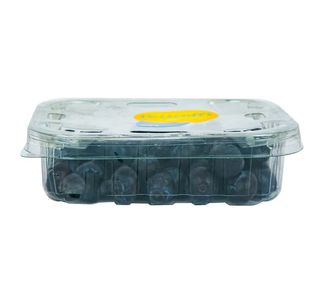 Blueberry Morocco 125 g