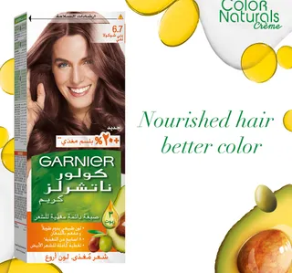 Garnier Color Naturals 67 Chocolate Brown 1 Pkt