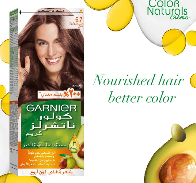 Garnier Color Naturals 6.7 Chocolate Brown 1 pkt