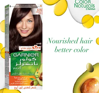 Garnier Color Naturals Creme Nourishing 415 Brownie Chocolate 1 Pkt