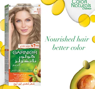 Garnier Color Naturals 81 Light Ash Blonde 1 Pkt