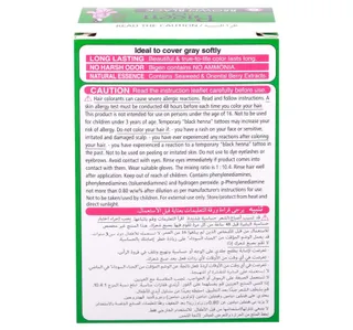 Bigen Brown Black Hair Dye Powder 6 G