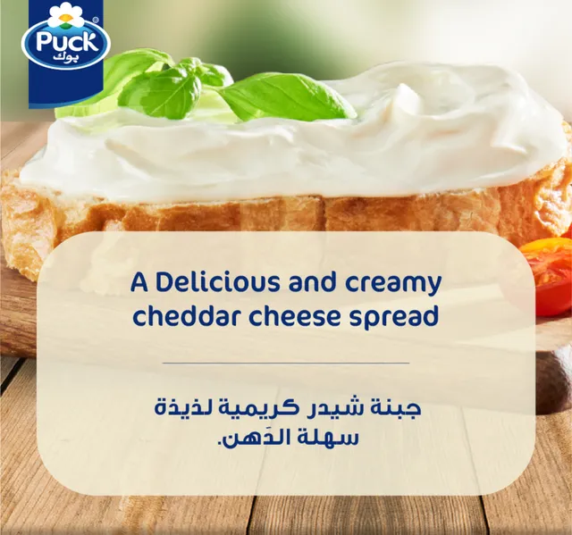 Puck Cheddar Cream Cheese Spread Jar 500 G