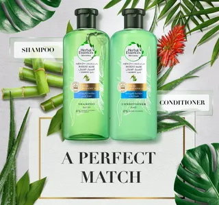 Herbal Essences Sulfate Free Potent Aloe Bamboo Shampoo 400 Ml Conditioner