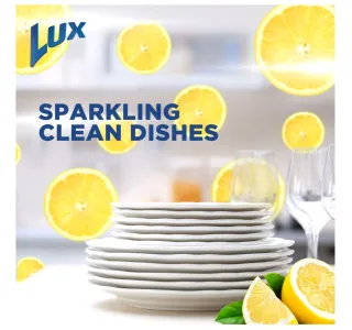 Lux Dishwashing Liquid with Lemon Scent Value Pack 2 x 725 ml