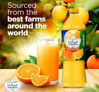Hayatna No Added Sugar 100 Pure Orange Juice 1 Litre