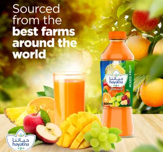 Hayatna No Added Sugar 100 Pure Mixed Fruit Nectar 500 Ml