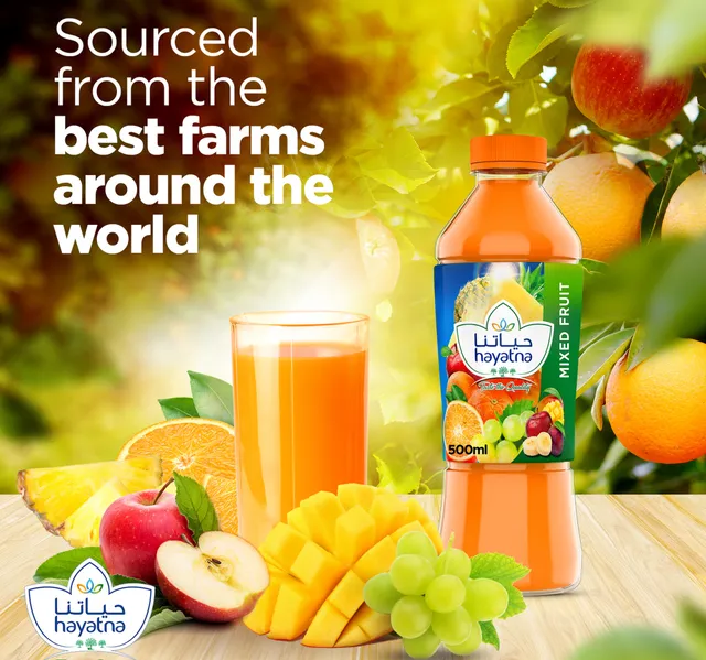Hayatna No Added Sugar 100 Pure Mixed Fruit Nectar 500 Ml