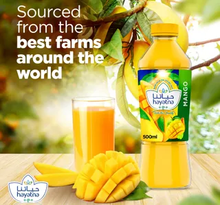 Hayatna No Added Sugar 100 Pure Mango Nectar 500 Ml