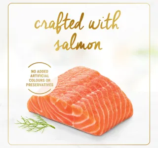 Purina Fancy Feast Classic Pate Savoury Salmon Feast 85 g