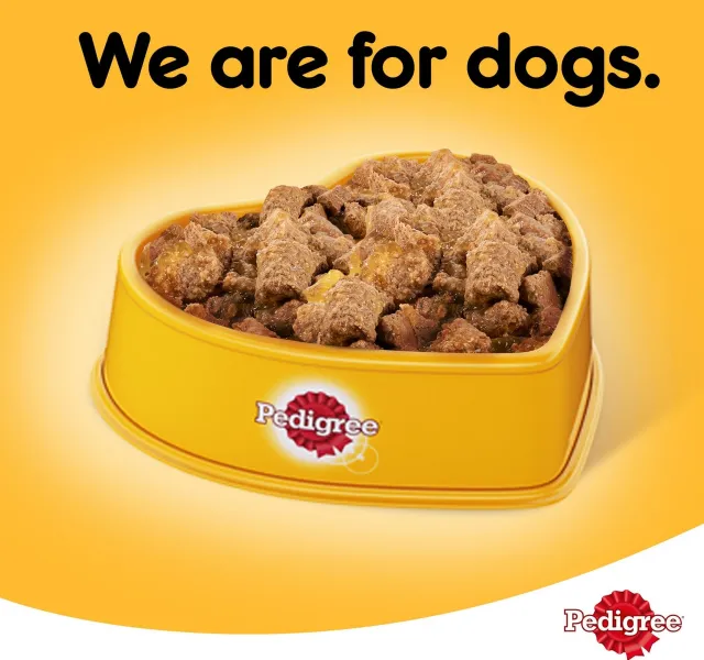 Pedigree Lamb Wet Dog Food Can 400 G