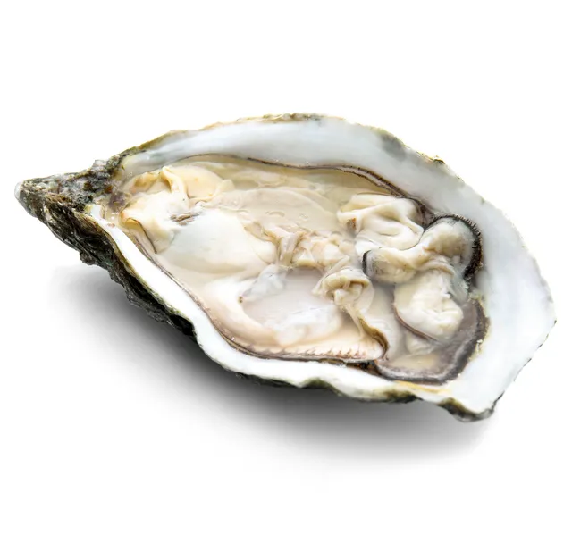 Fresh Dibba Bay Oysters 1 pc