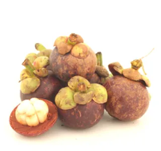 مانجوستين عبوة واحدة