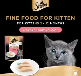 Sheba Chicken Premium Loaf Fine Food for Kitten 12 x 70 g