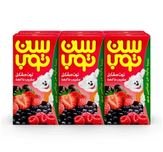 Suntop Berry Mix Fruit Drink 125 Ml