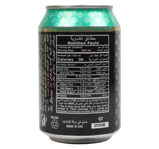 Evervess Ginger Ale 300 Ml
