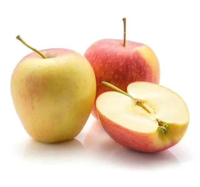 Evelina Apple Italy 1 Kg