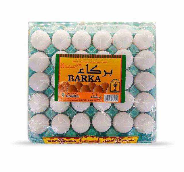 بركاء بيض أبيض عماني كبير 30 حبة