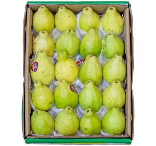 جوافة مصرية 1.5 كيلو