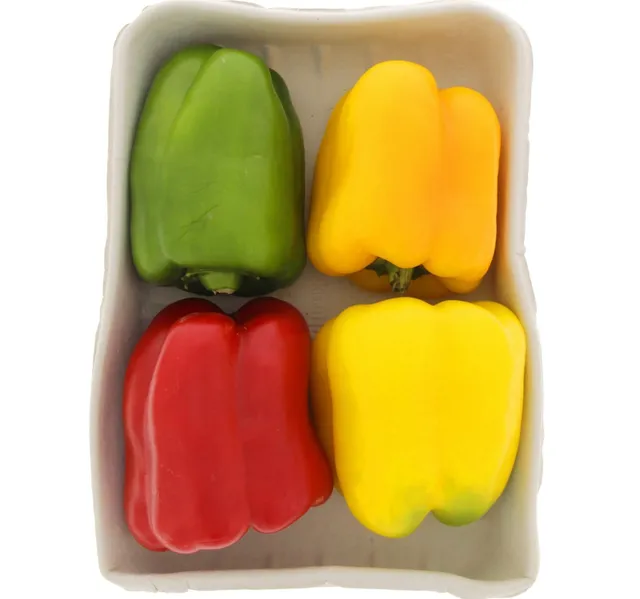 Organic Capsicum Mix 1 Pkt