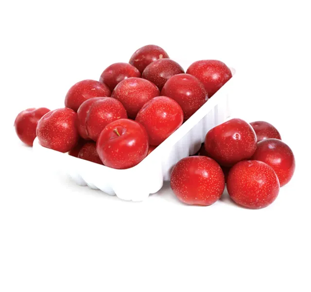 برقوق لبناني عبوة 1