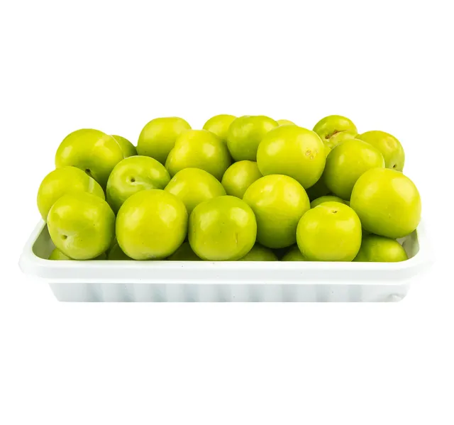 Lebanon Green Plum Janerik 1 Pkt