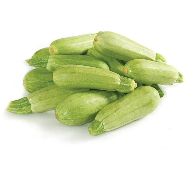 Marrow Koosa Thermo 1 5 Kg