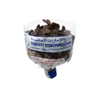 Lettuce Oakleaf Red 1 pkt