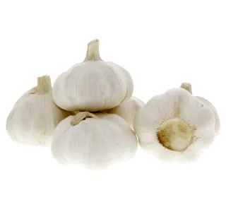 Garlic Pure White China Big 1 Pkt