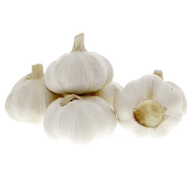 Garlic Pure White China Big 1 Pkt