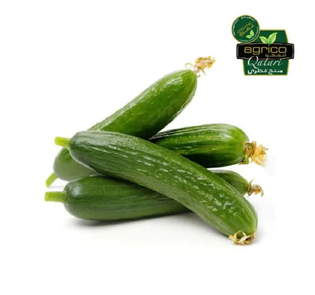 Organic Cucumber 500 g
