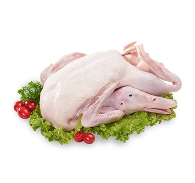 لحم بط طازج قطعة واحدة
