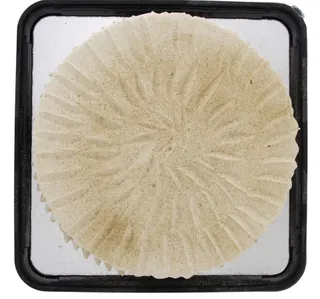 كعكة بالكابتشينو وسط 1 كجم