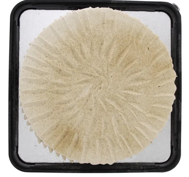 Cappuccino Cake Medium 1 Kg