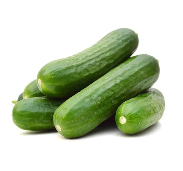بريميوم كيوكمبر قطر 1 باكيت