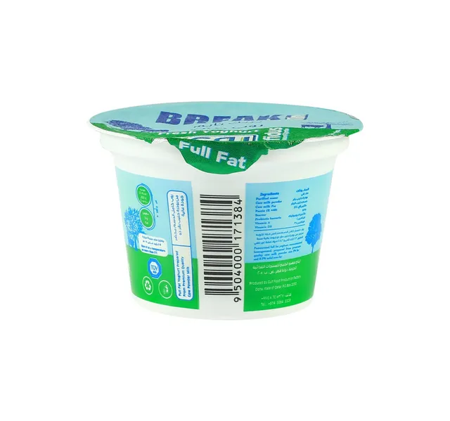 Break Time Plain Yoghurt Full Fat 170 G