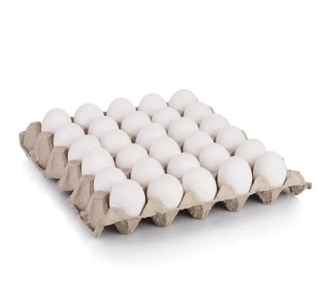 Turkey White Egg Small 30 Pcs