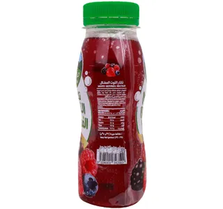 Mazzraty Mix Berries Juice 200 Ml