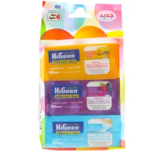 Hi Geen Antibacterial Wipes Assorted Value Pack 6 X 10 Sheets