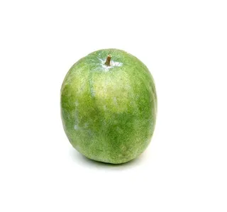 Ash Gourd Oman 1 Pc 1 2 Kg 1 5 Kg Approx Weight