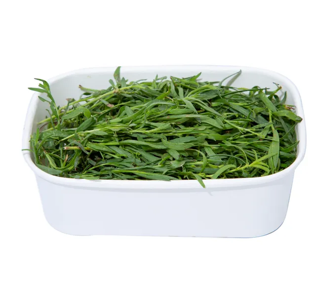 Tarragon Leaves Uae 1 Pkt
