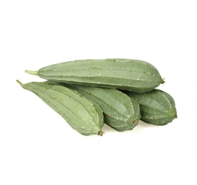 قرع إسفنجي عمان 500 G