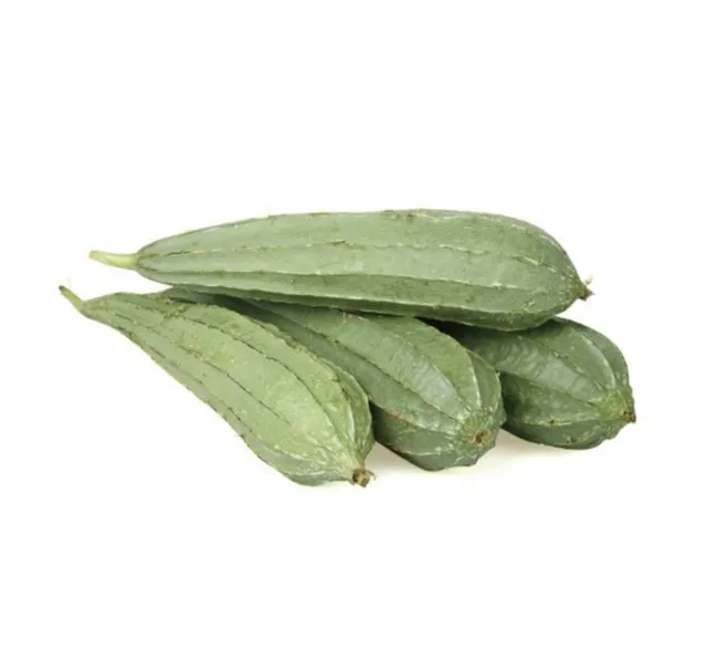 قرع إسفنجي عمان 500 g