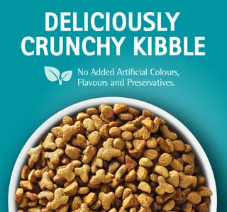 Purina One Cat Foodhairball Control With Chicken Flavour For 1 Years Value Pack 1 2 Kg
